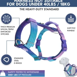 Comfort Control No-Pull Dog Harness and Multipurpose Leash Set - 90s Retro