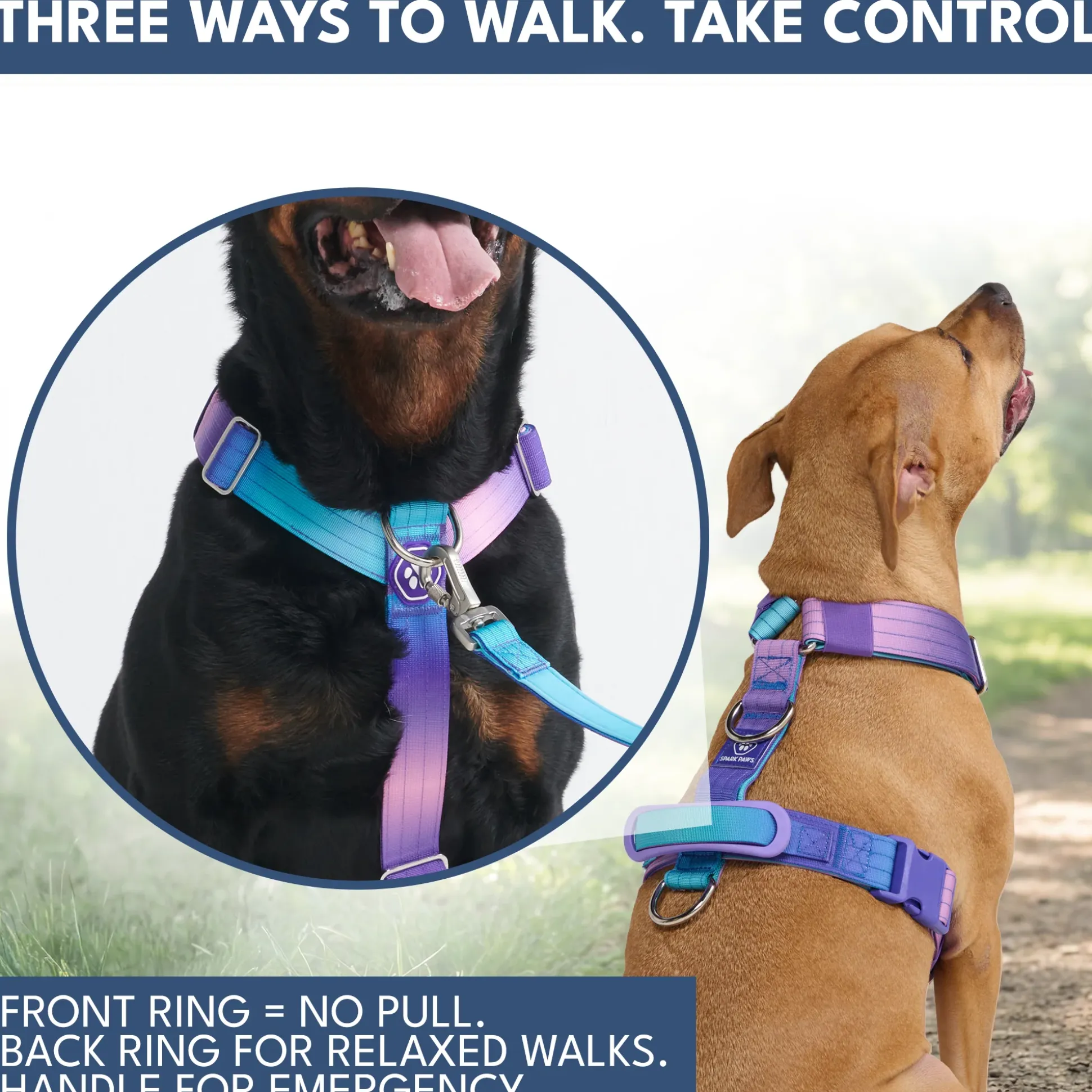 Comfort Control No-Pull Dog Harness and Multipurpose Leash Set - 90s Retro