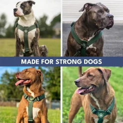 Comfort Control No-Pull Dog Harness and Multipurpose Leash Set - 90s Retro