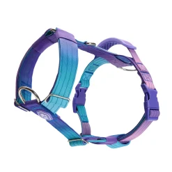 Comfort Control No-Pull Dog Harness - 90s Retro