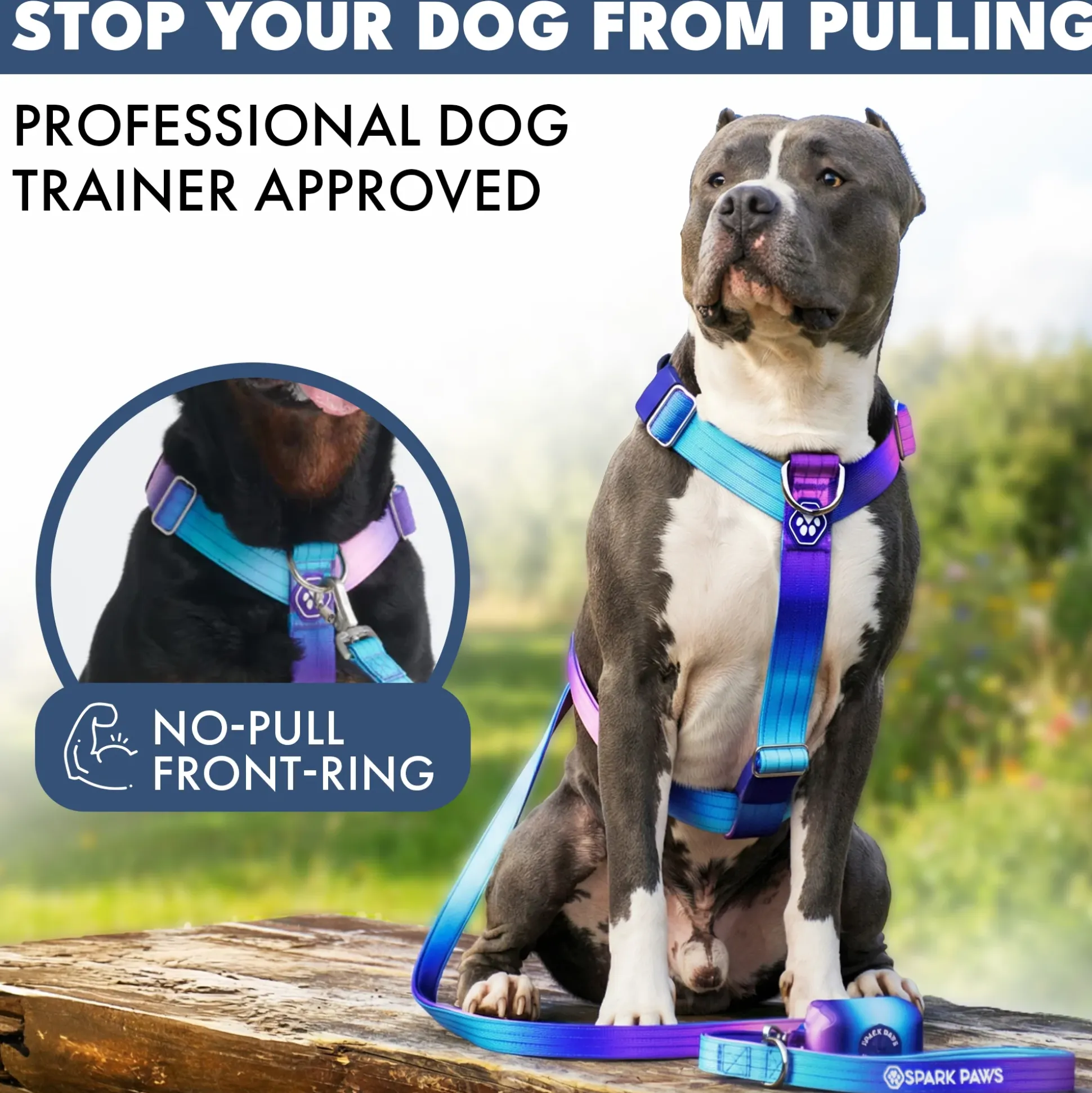 Comfort Control No-Pull Dog Harness - 90s Retro