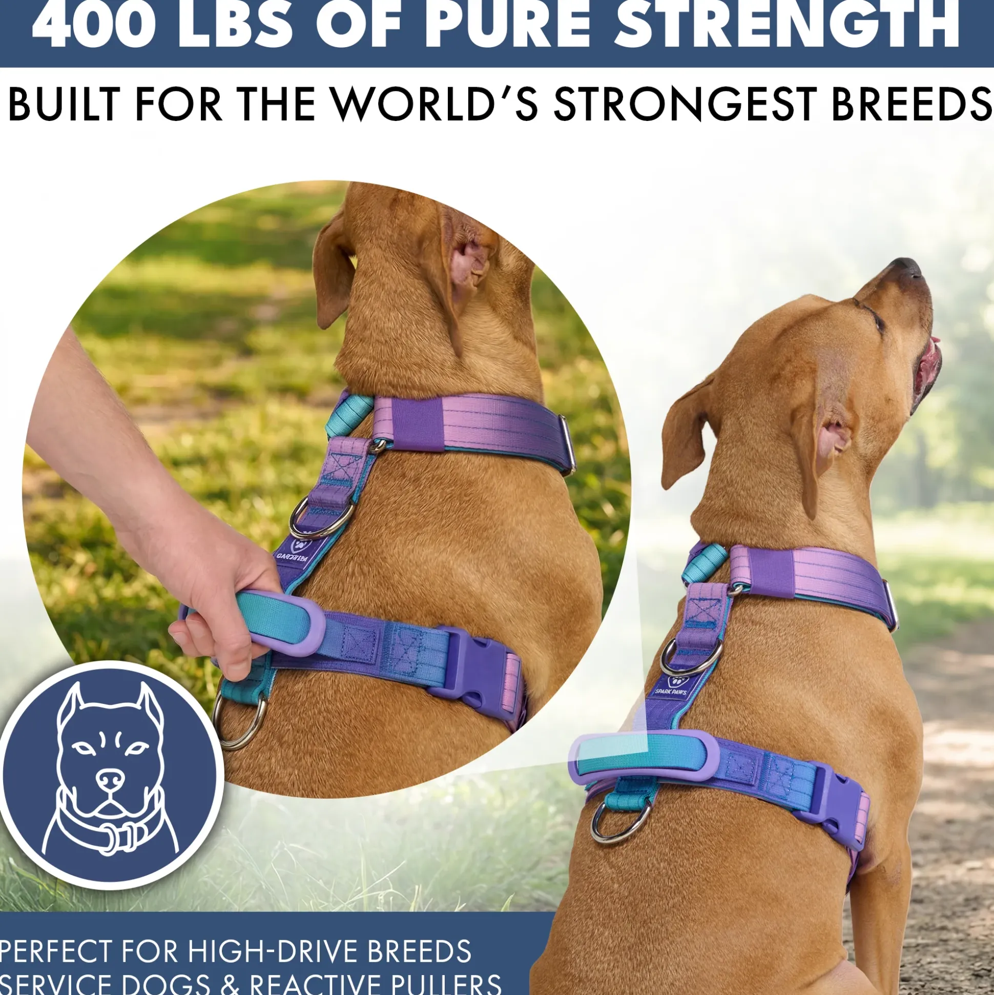 Comfort Control No-Pull Dog Harness - 90s Retro