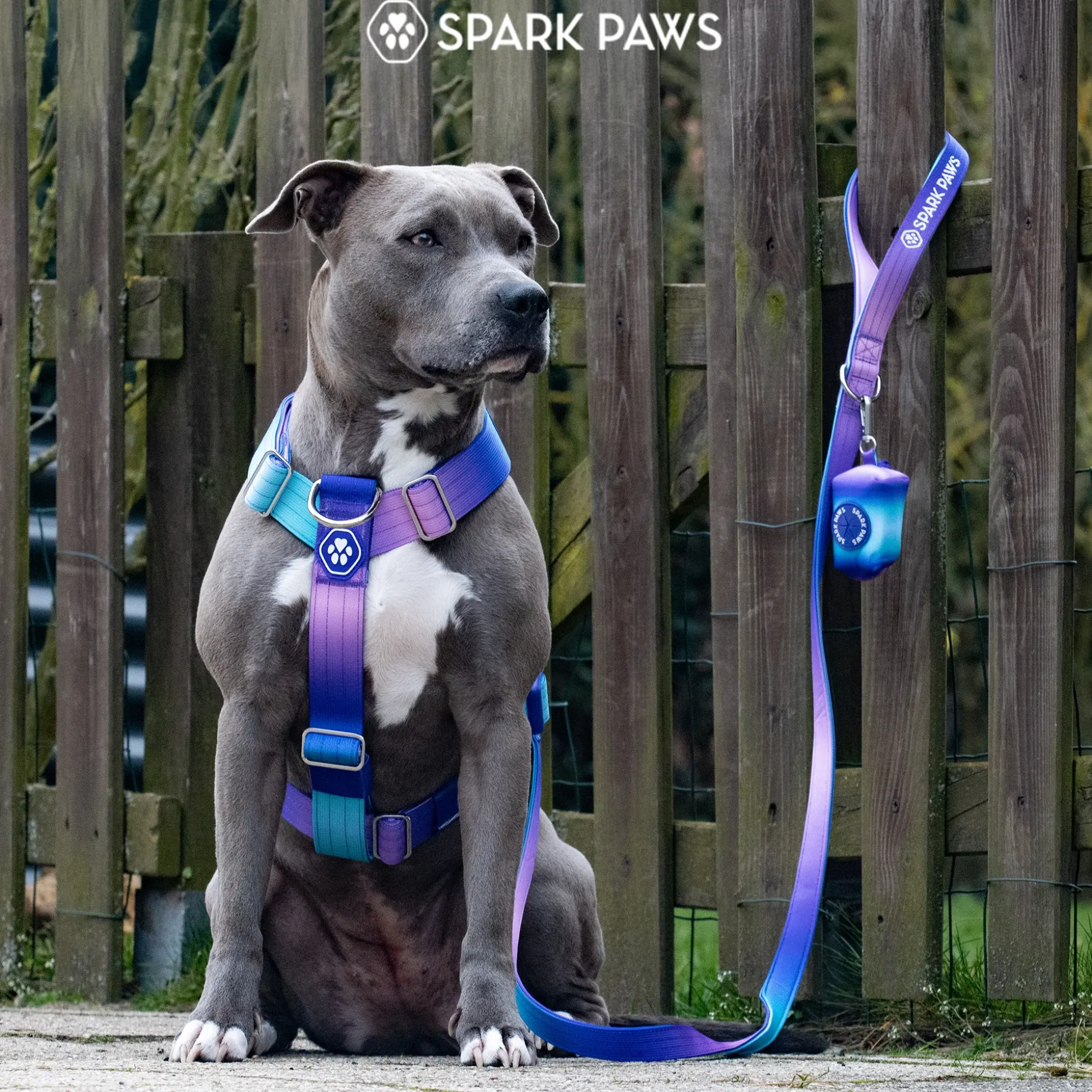 Comfort Control No-Pull Dog Harness - 90s Retro