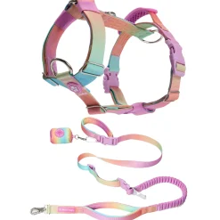 Comfort Control No-Pull Dog Harness and Multipurpose Leash Set - Pastel Icing