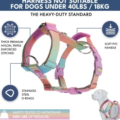 Comfort Control No-Pull Dog Harness and Multipurpose Leash Set - Pastel Icing