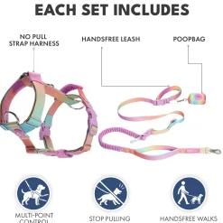 Comfort Control No-Pull Dog Harness and Multipurpose Leash Set - Pastel Icing