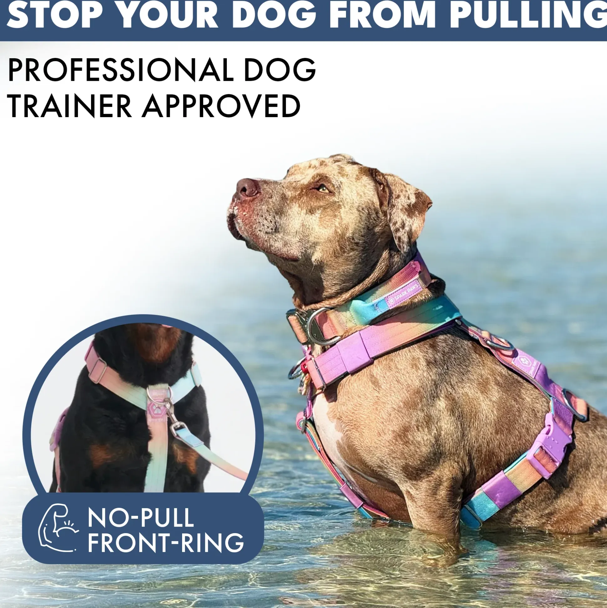 Comfort Control No-Pull Dog Harness - Pastel Icing