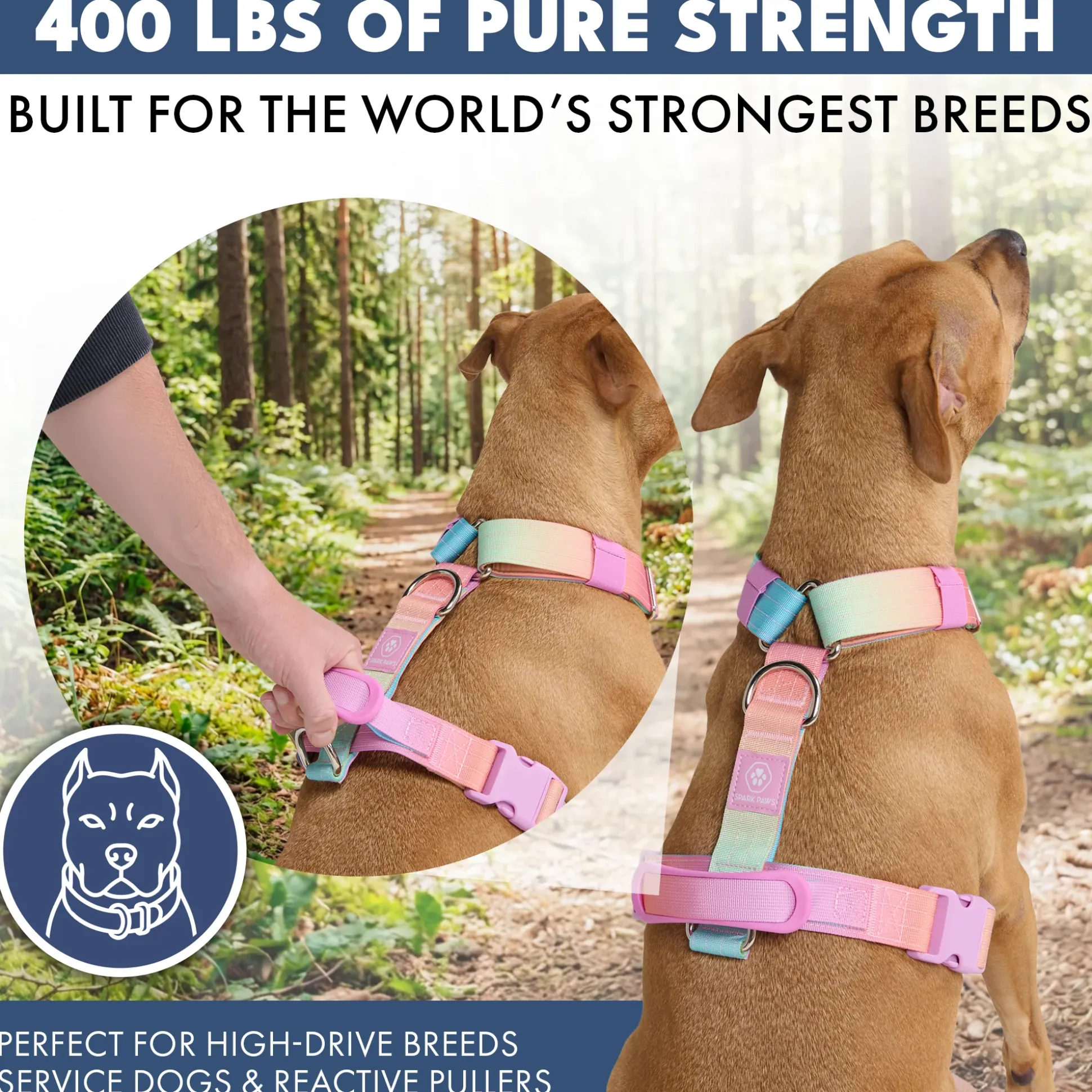 Comfort Control No-Pull Dog Harness - Pastel Icing