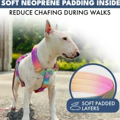 Comfort Control No-Pull Dog Harness - Pastel Icing