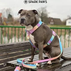 Comfort Control No-Pull Dog Harness - Pastel Icing