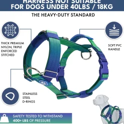 Comfort Control No-Pull Dog Harness and Multipurpose Leash Set - Lime Wave