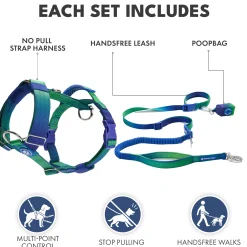 Comfort Control No-Pull Dog Harness and Multipurpose Leash Set - Lime Wave
