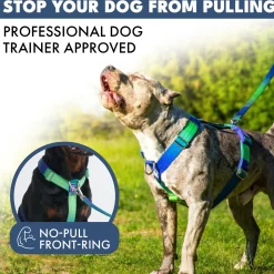Comfort Control No-Pull Dog Harness - Lime Wave