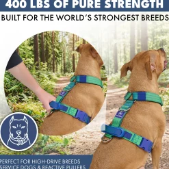 Comfort Control No-Pull Dog Harness - Lime Wave