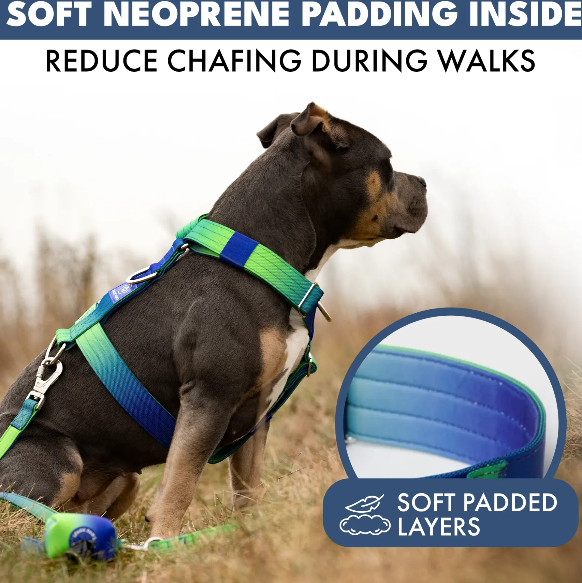Comfort Control No-Pull Dog Harness - Lime Wave
