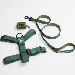 Comfort Control No-Pull Dog Harness Set - Army Green