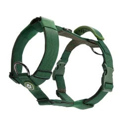 Comfort Control No-Pull Dog Harness - Green