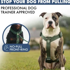 Comfort Control No-Pull Dog Harness - Green
