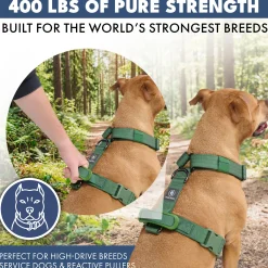 Comfort Control No-Pull Dog Harness - Green