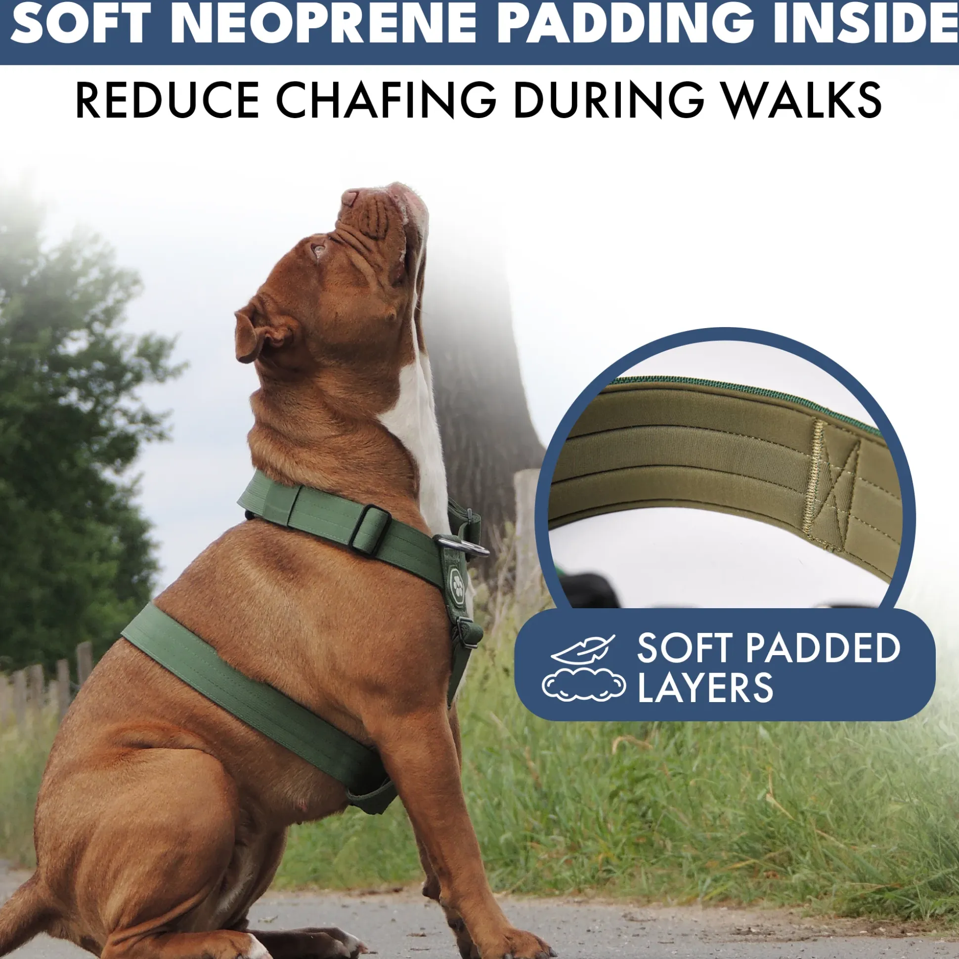 Comfort Control No-Pull Dog Harness - Green