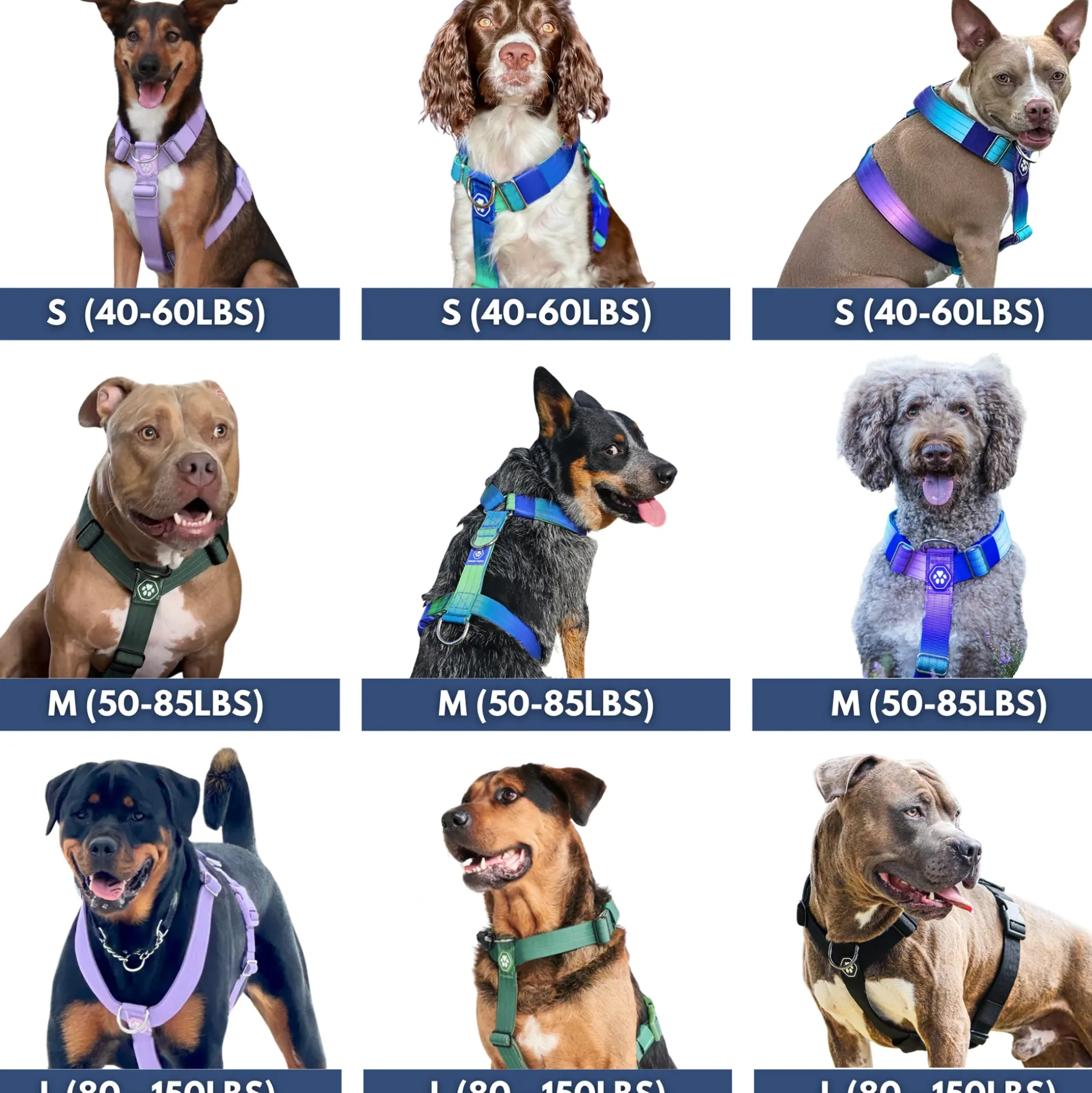 Comfort Control No-Pull Dog Harness - Green