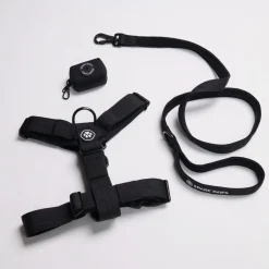Comfort Control No-Pull Dog Harness Set - Black