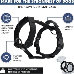 Comfort Control No-Pull Dog Harness Set - Black