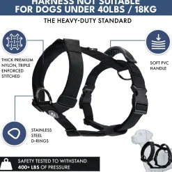Comfort Control No-Pull Dog Harness and Multipurpose Leash Set - Black