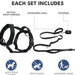 Comfort Control No-Pull Dog Harness and Multipurpose Leash Set - Black