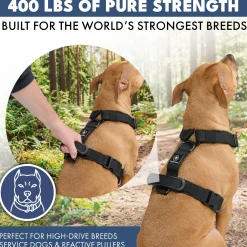 Comfort Control No-Pull Dog Harness - Black