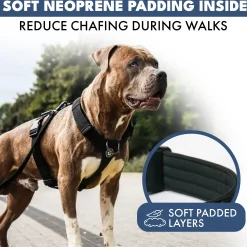 Comfort Control No-Pull Dog Harness - Black