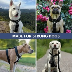 Comfort Control No-Pull Dog Harness - Black