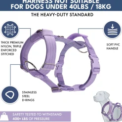 Comfort Control No-Pull Dog Harness and Multipurpose Leash Set - Purple