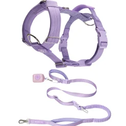 Comfort Control No-Pull Dog Harness and Multipurpose Leash Set - Purple
