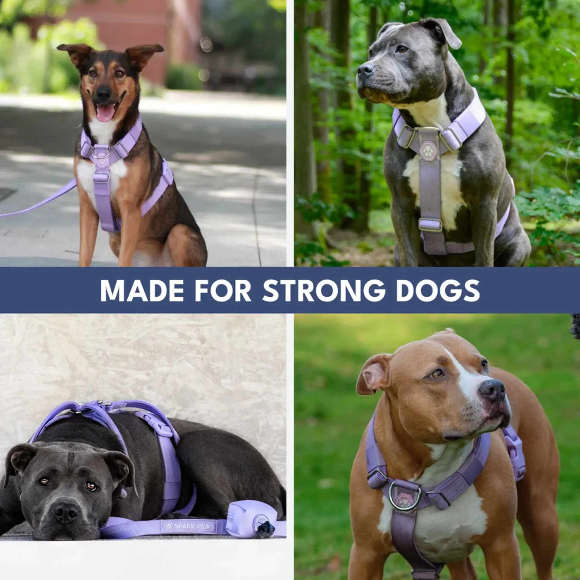 Comfort Control No-Pull Dog Harness and Multipurpose Leash Set - Purple