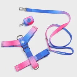 Comfort Control No-Pull Dog Harness Set - Snow Cone
