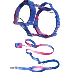 Comfort Control No-Pull Dog Harness and Multipurpose Leash Set - Snow Cone