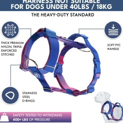 Comfort Control No-Pull Dog Harness and Multipurpose Leash Set - Snow Cone