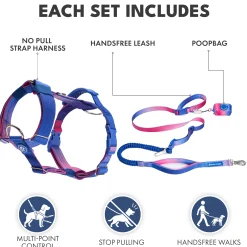 Comfort Control No-Pull Dog Harness and Multipurpose Leash Set - Snow Cone