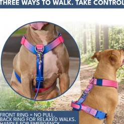 Comfort Control No-Pull Dog Harness and Multipurpose Leash Set - Snow Cone