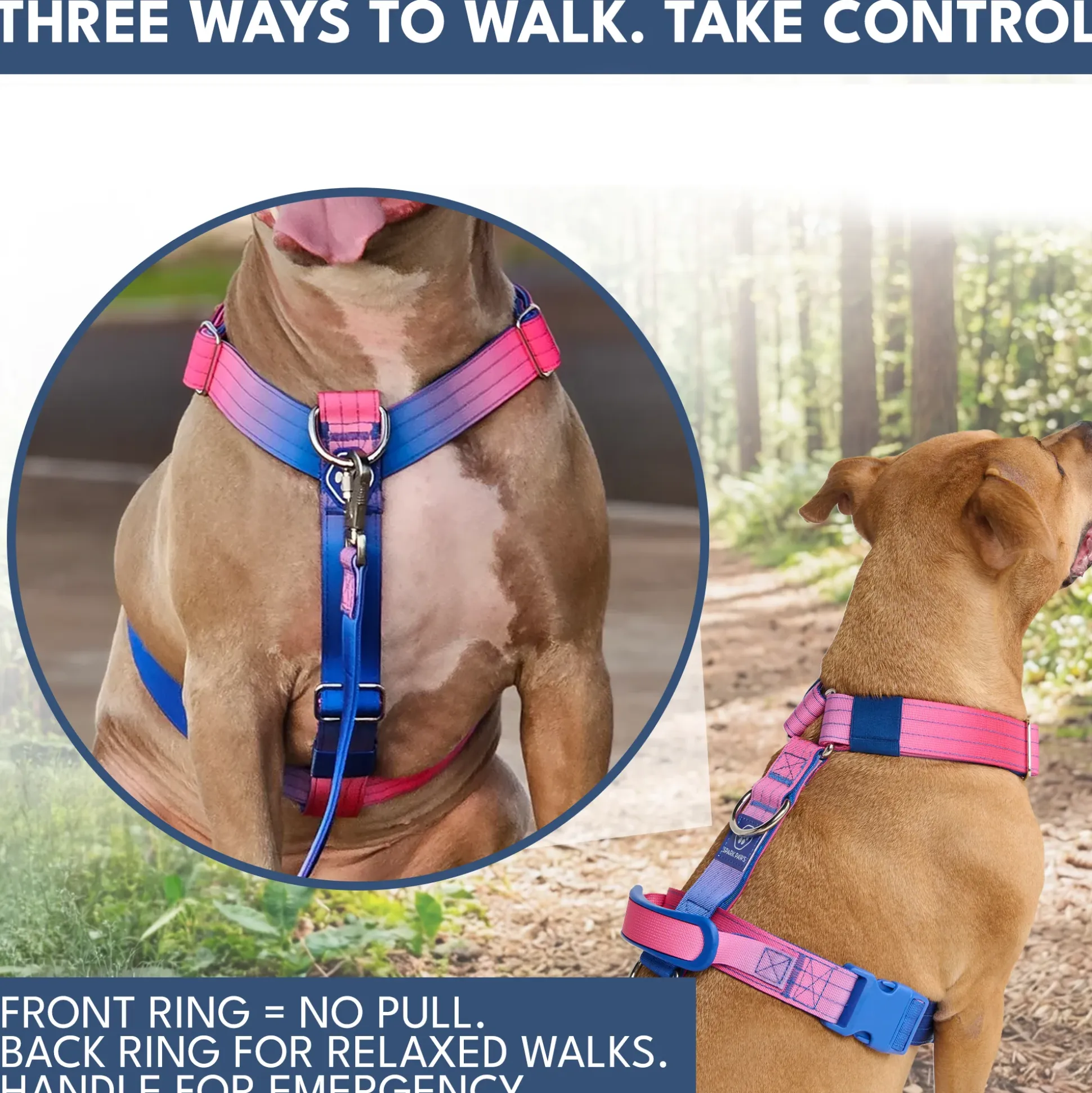 Comfort Control No-Pull Dog Harness and Multipurpose Leash Set - Snow Cone