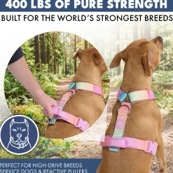 Comfort Control No-Pull Harness Sets