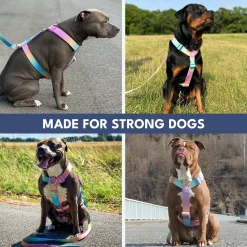 Comfort Control No-Pull Harness Sets
