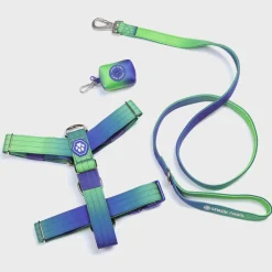 Comfort Control No-Pull Harness Sets