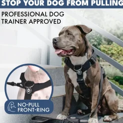 Comfort Control No-Pull Harness Sets