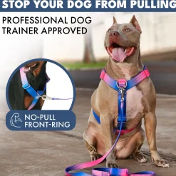 Comfort Control No-Pull Harness Sets