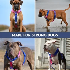 Comfort Control No-Pull Harness Sets