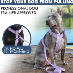 Comfort Control No-Pull Harness Sets