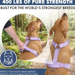 Comfort Control No-Pull Harness Sets