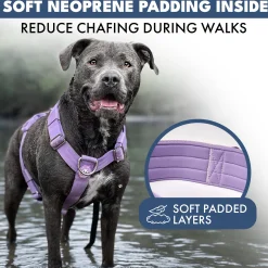 Comfort Control No-Pull Harness Sets